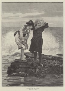 Fångad av tidvattnet